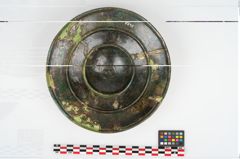 Foto von Bronzephalere (NHMW-PRAE-003458)